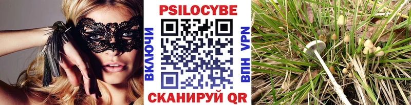 omg как зайти Ртищево Галлюциногенные грибы Psilocybine cubensis купить сайты